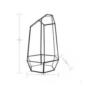 Tall open geometric terrarium